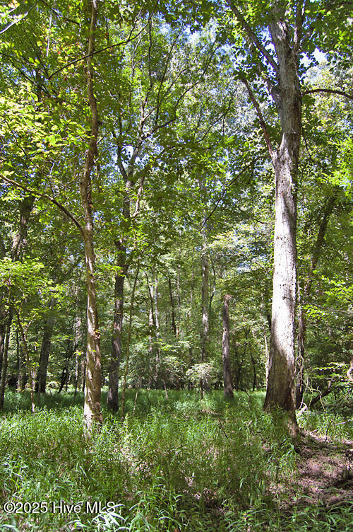 0 Nc Highway 33 Property Photo 78