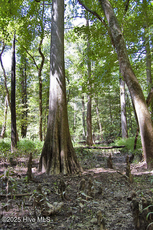 0 Nc Highway 33 Property Photo 80
