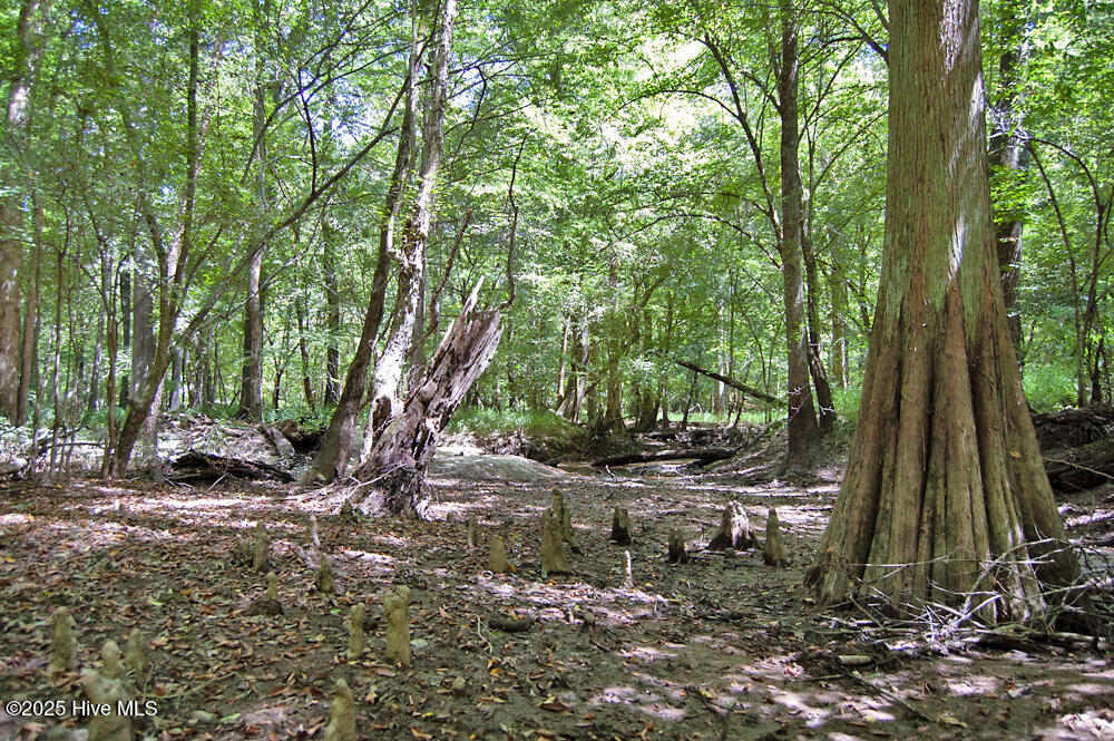 0 Nc Highway 33 Property Photo 81