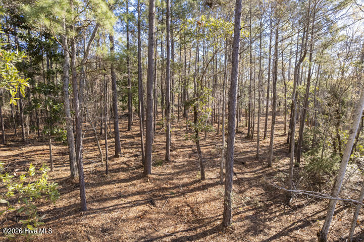 0 Smith Creek Road Property Photo 2