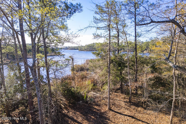0 Smith Creek Road Property Photo 11