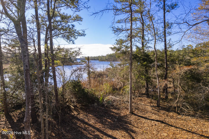 0 Smith Creek Road Property Photo 12