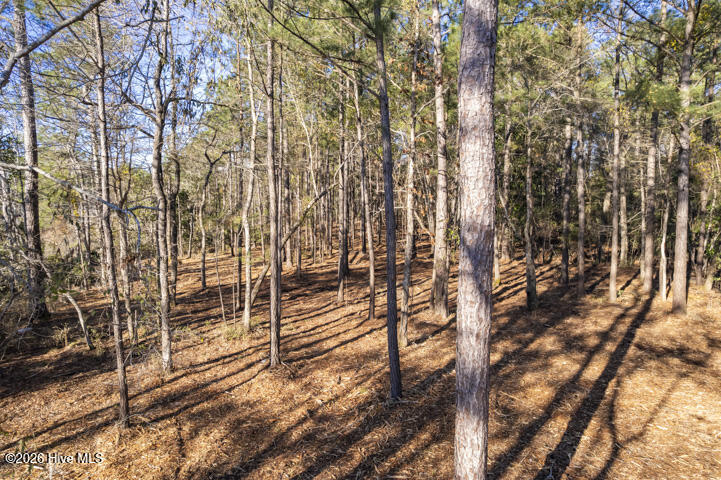 0 Smith Creek Road Property Photo 15