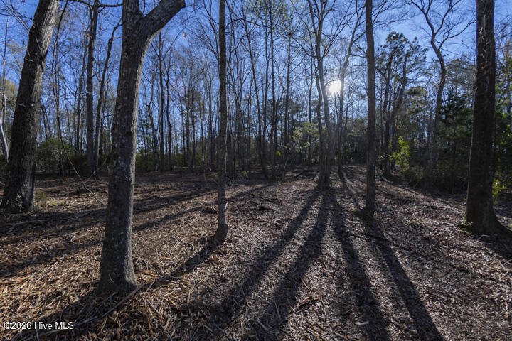 0 Smith Creek Road Property Photo 19