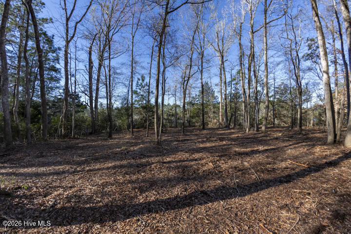 0 Smith Creek Road Property Photo 20
