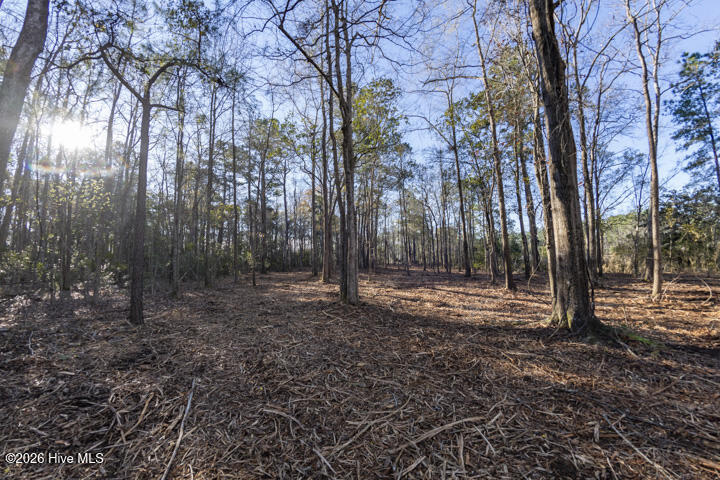 0 Smith Creek Road Property Photo 21