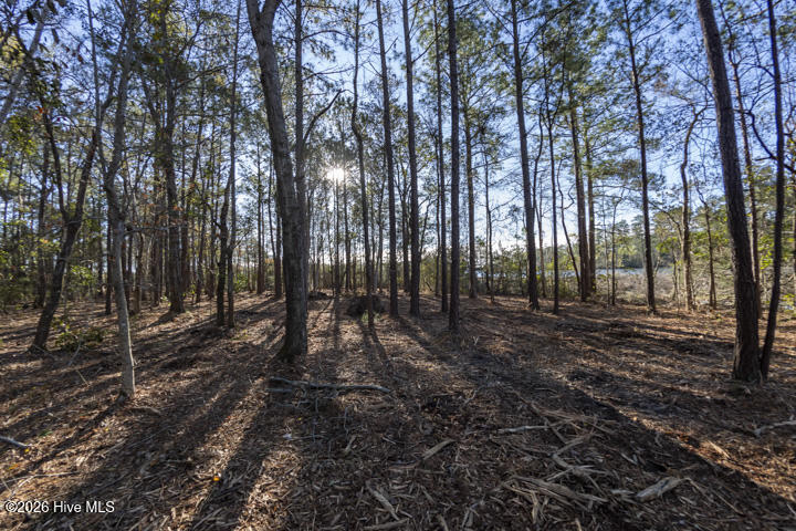 0 Smith Creek Road Property Photo 22