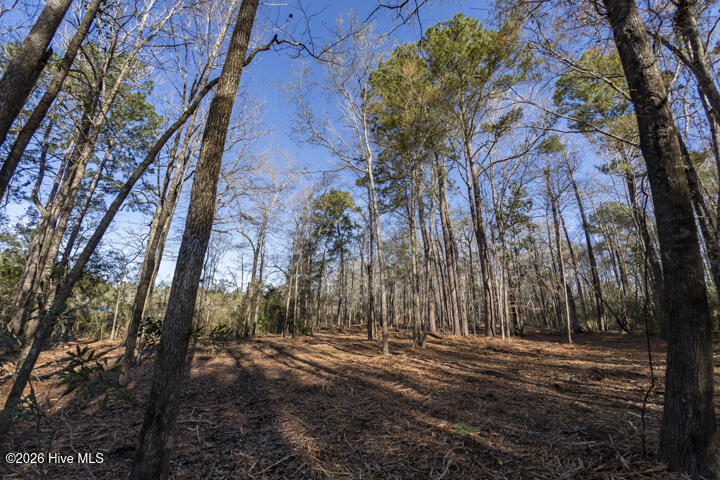 0 Smith Creek Road Property Photo 23