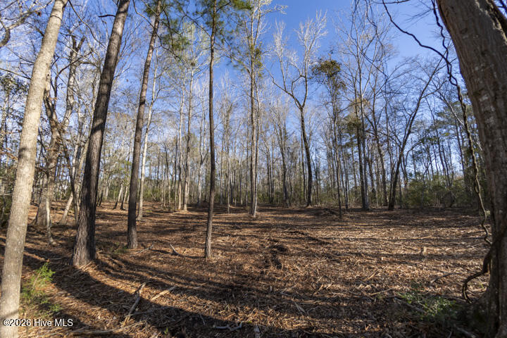 0 Smith Creek Road Property Photo 24