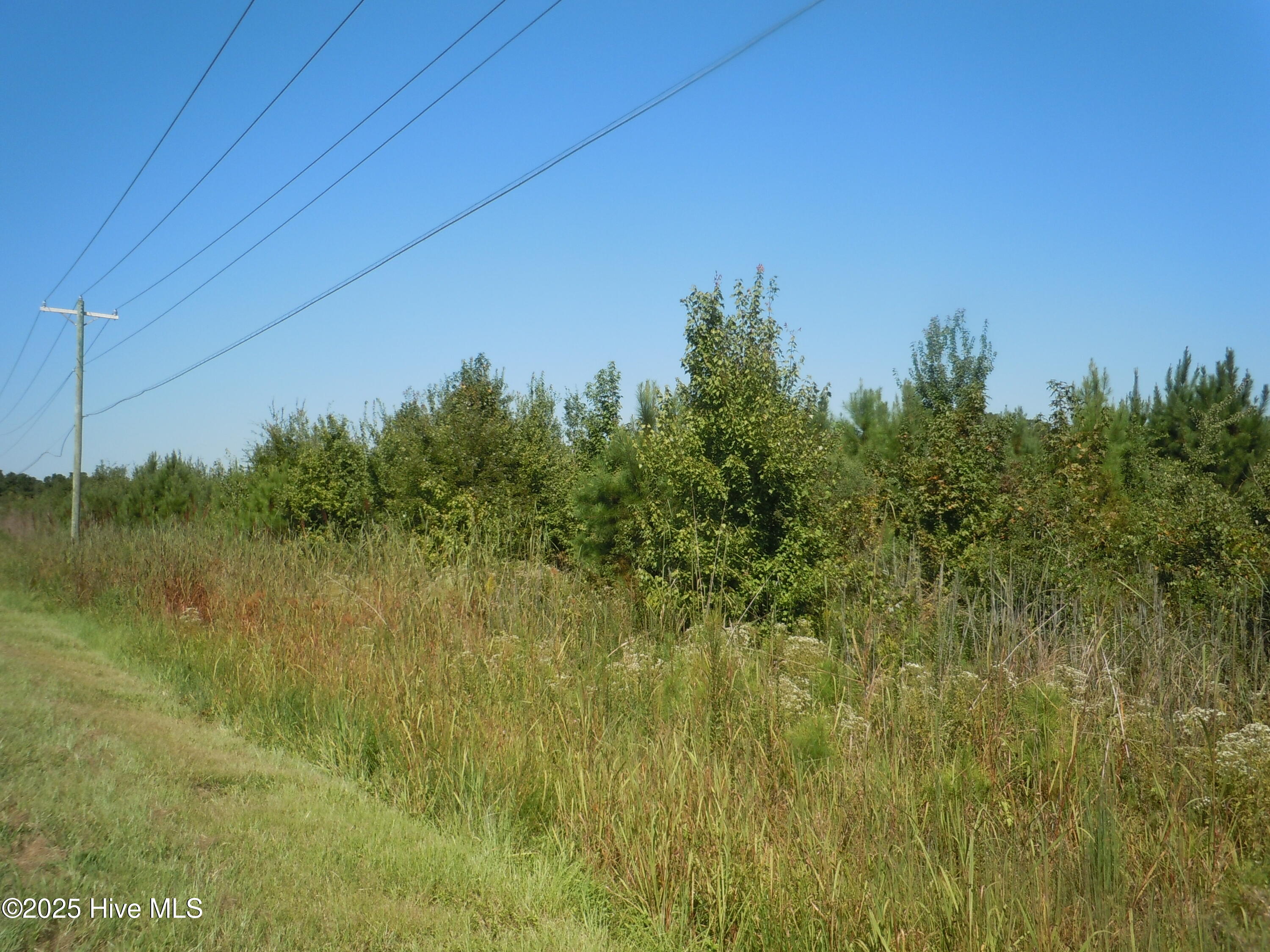 Tbd Near 10700 Andrew Jackson Highway Property Photo 1