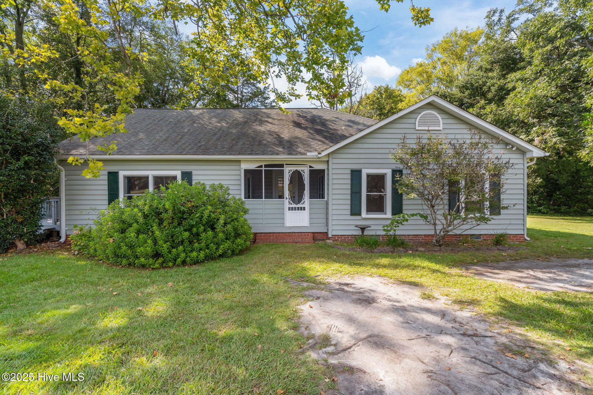 110 Bingham Street Property Photo 1