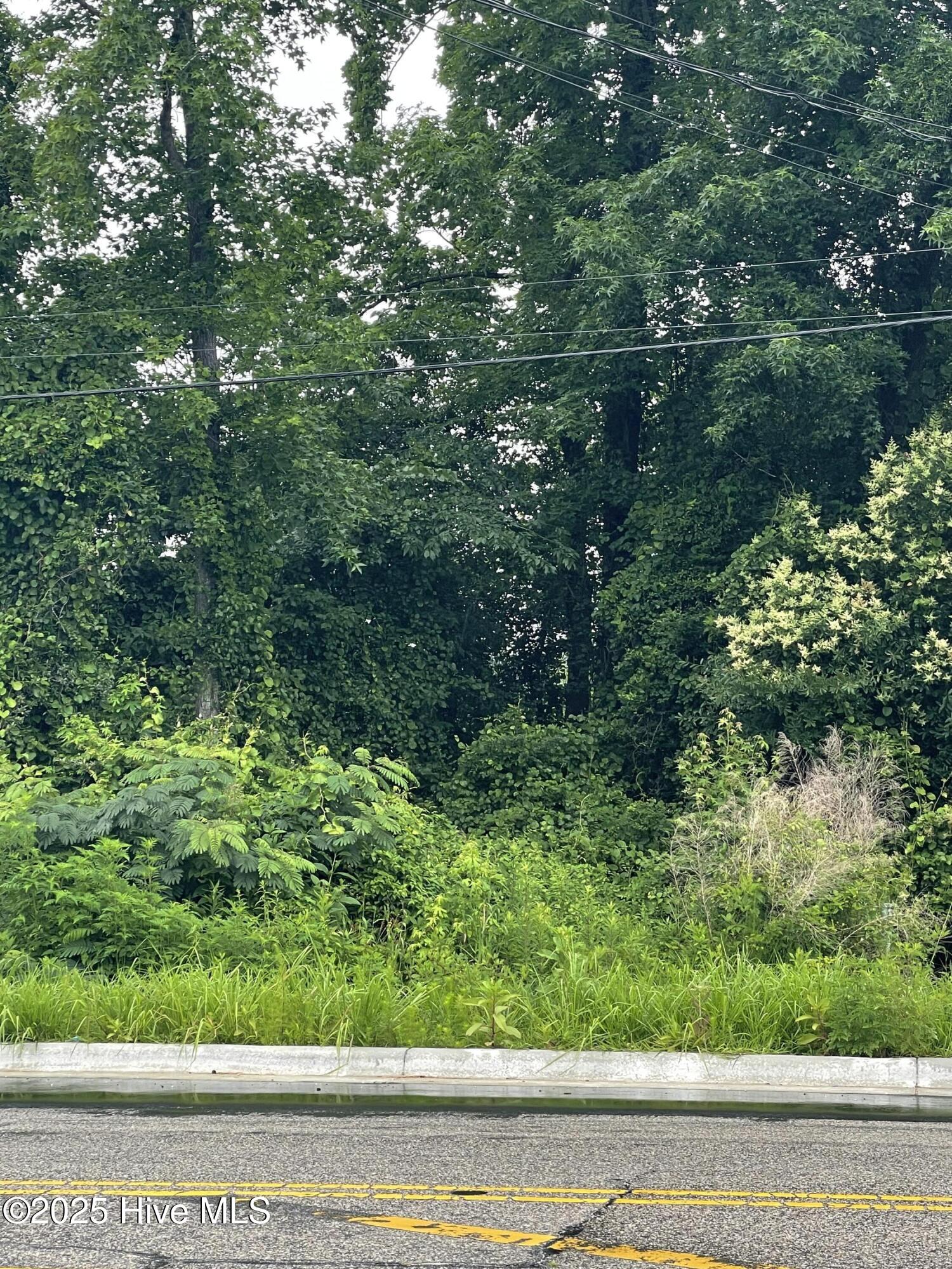 1502 Erwin Road Property Photo 2