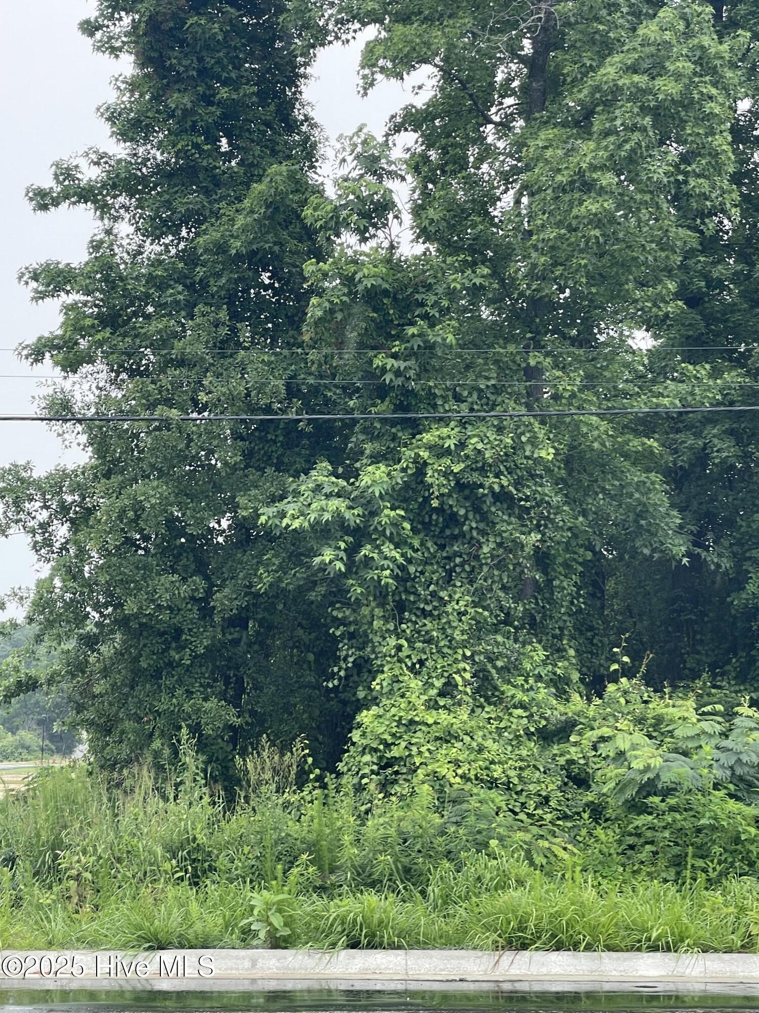 1502 Erwin Road Property Photo 3