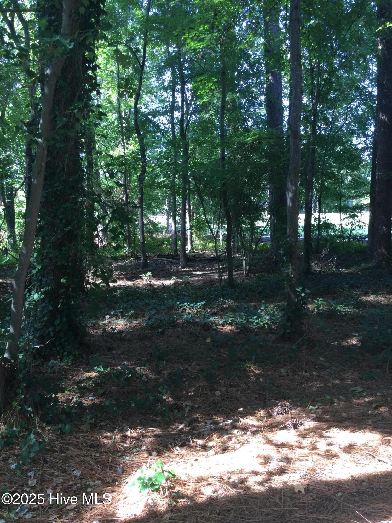 3 Belair Place Property Photo 6