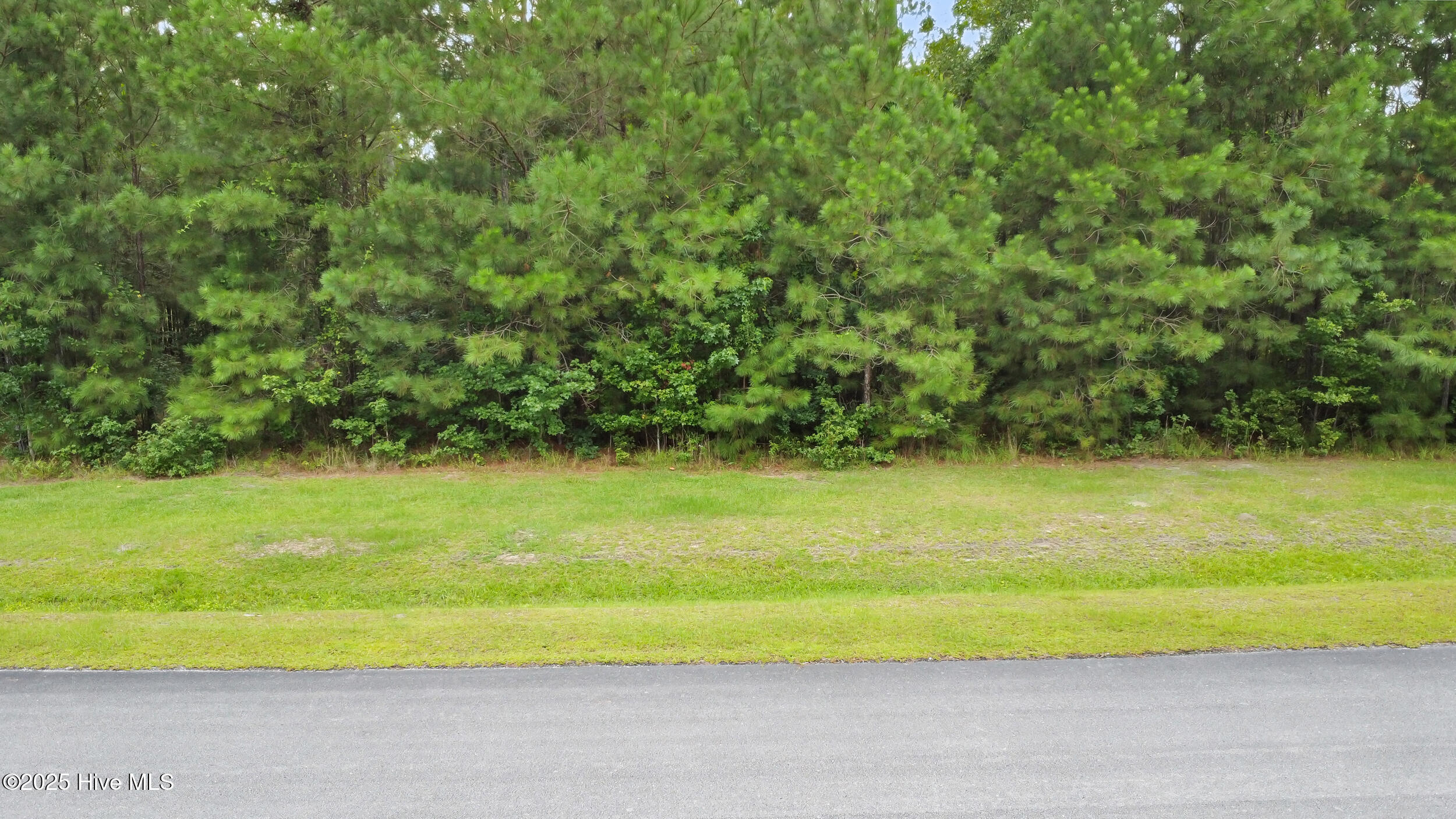 44 Shady Creek Road Property Photo 19