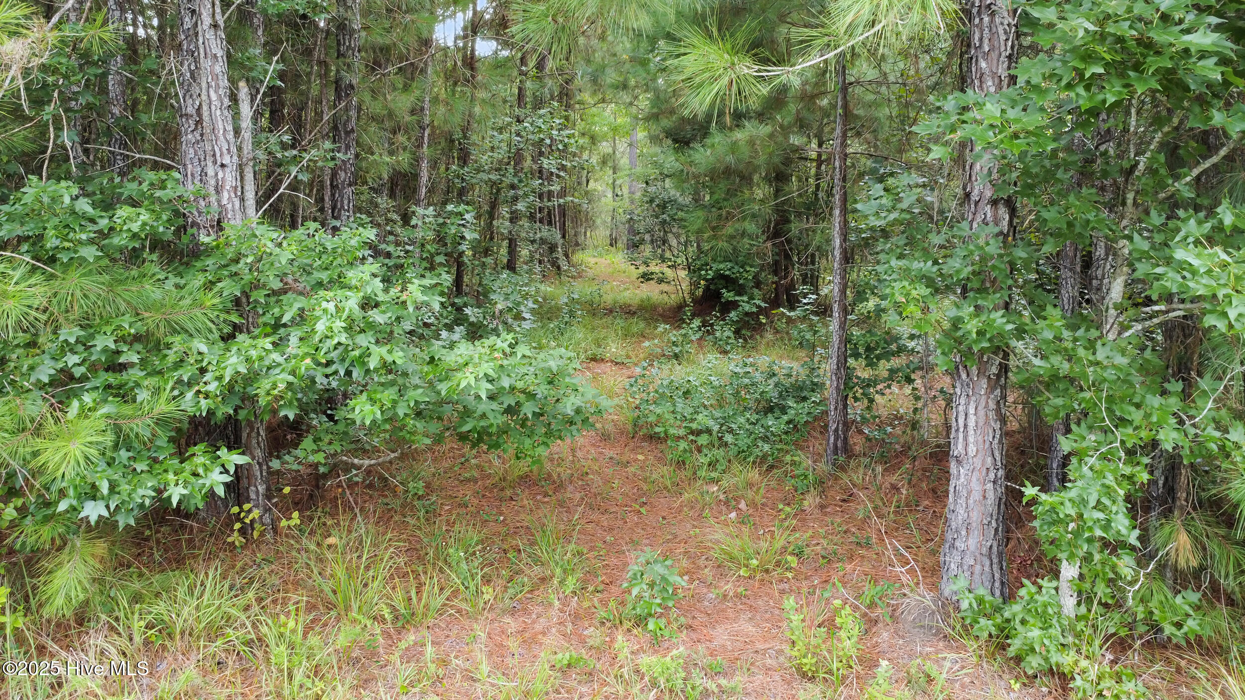 44 Shady Creek Road Property Photo 21