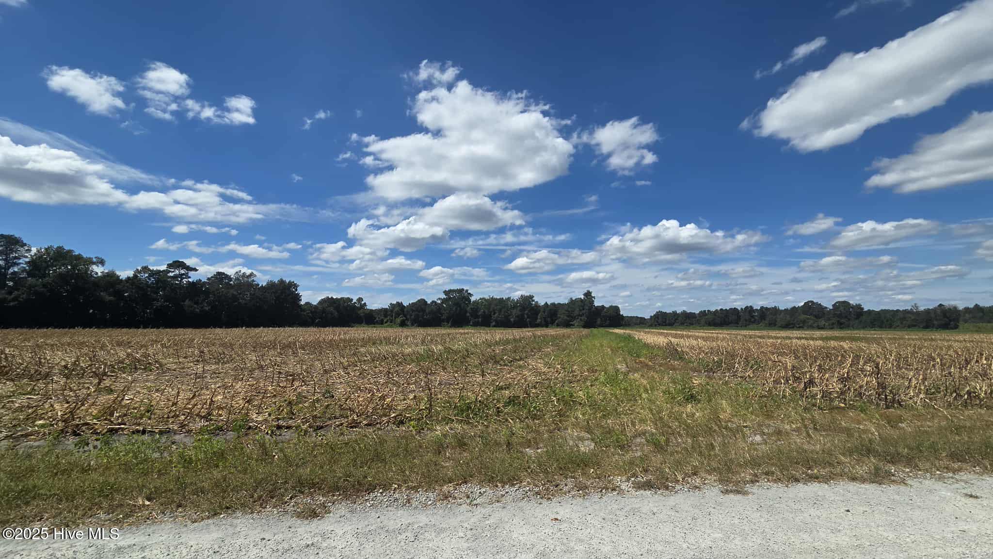 Tbd James Porter Road Property Photo 1