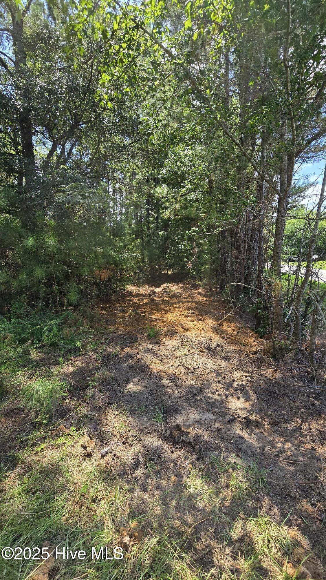 0 Underwood Road Property Photo 6