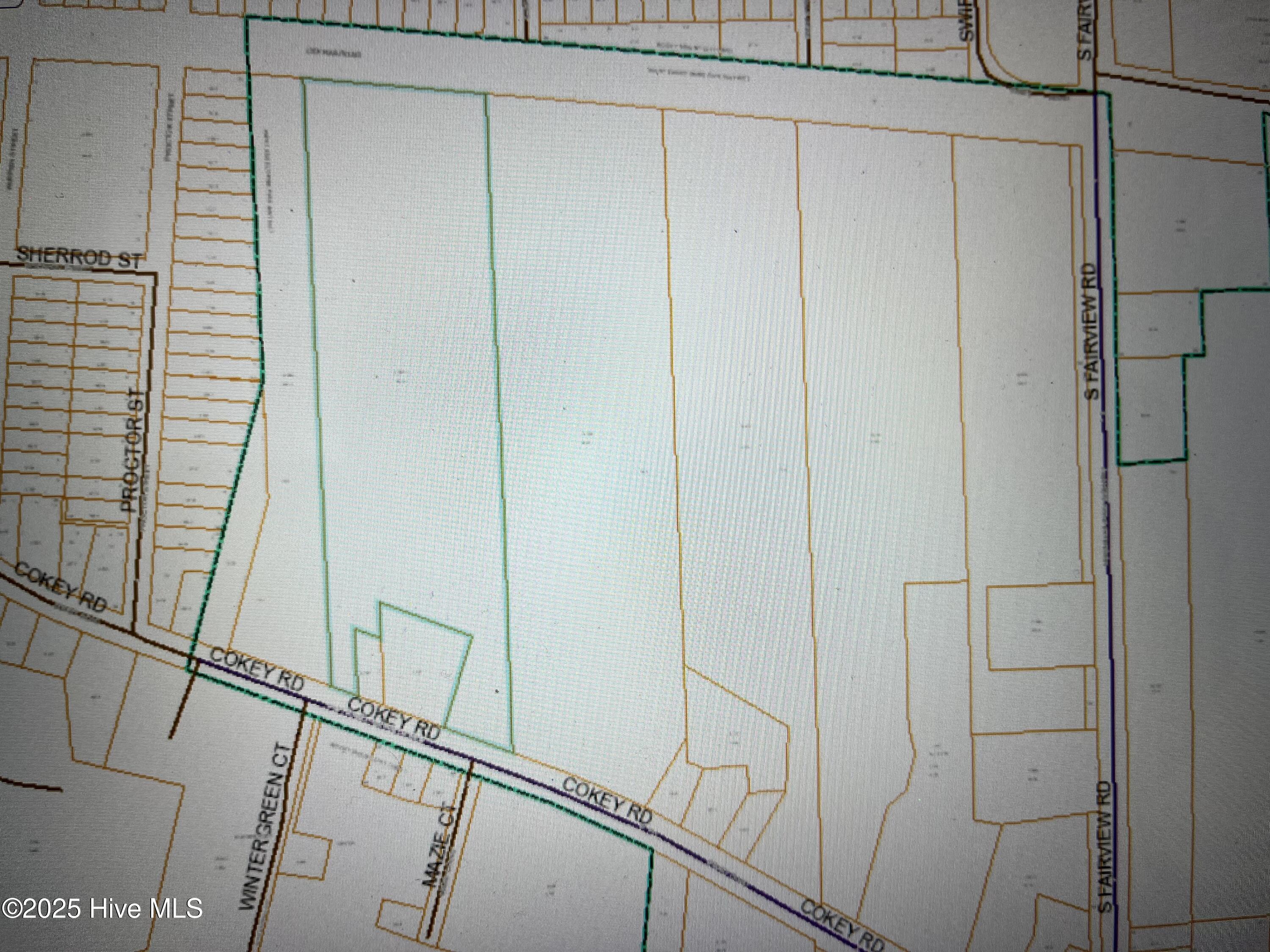 Tbd Cokey Road Property Photo 2