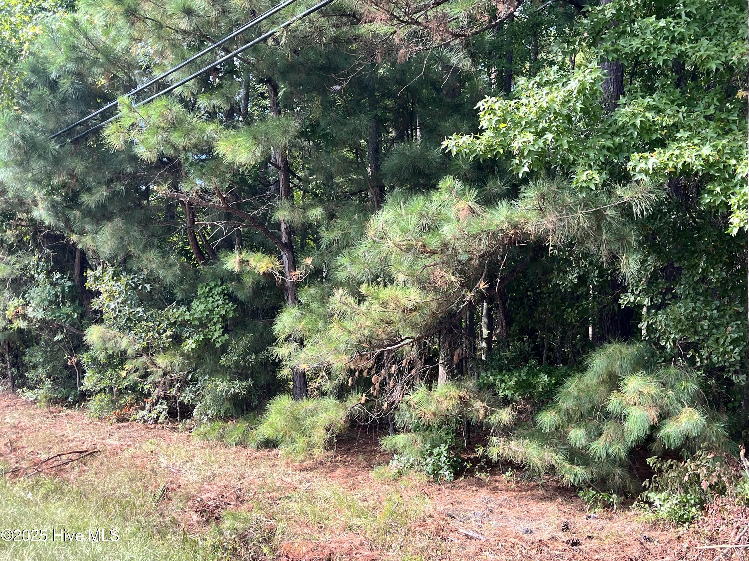 Tbd Cokey Road Property Photo 3