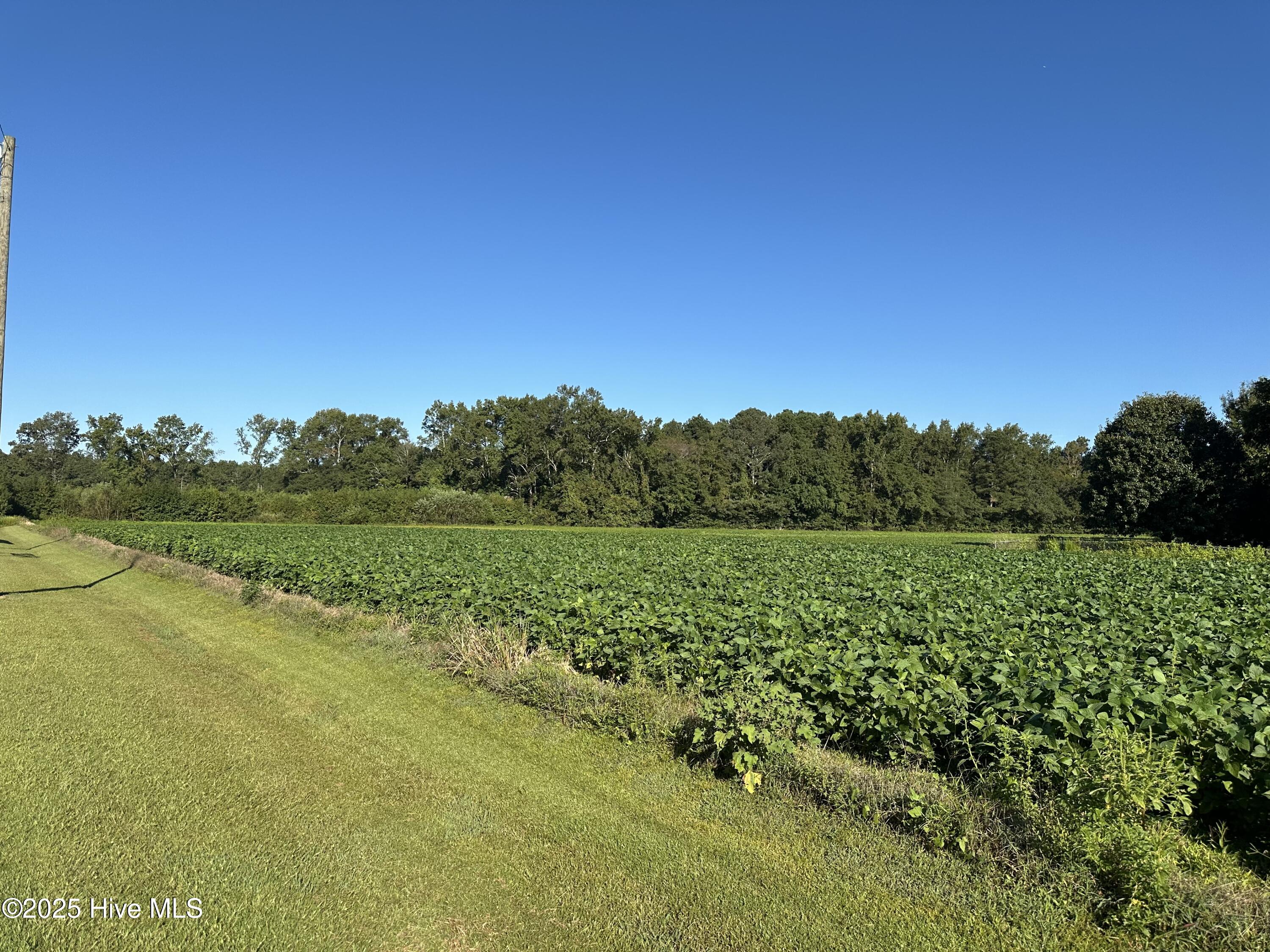 00 Hill Loop Road Property Photo 1