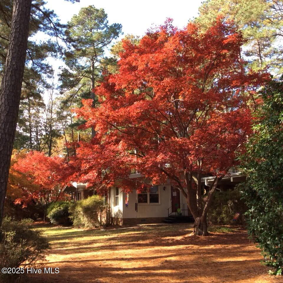 9698 Us 64 Property Photo 1