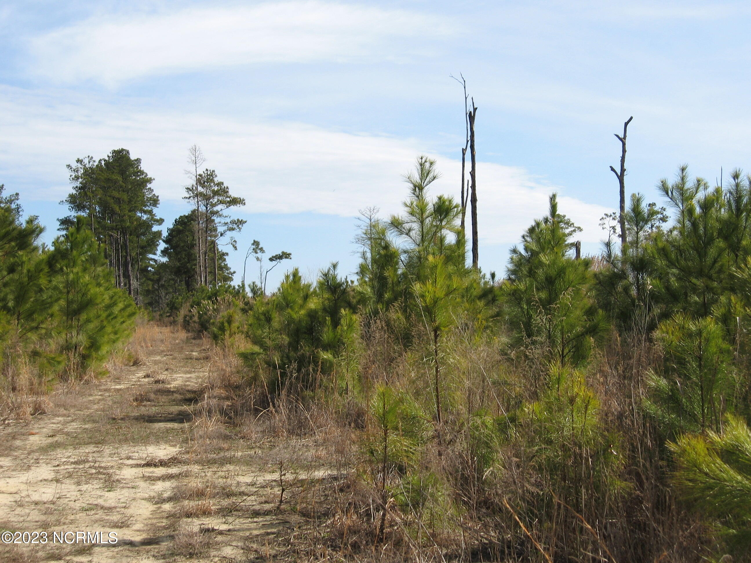 4161 Caratoke Highway Property Photo 1