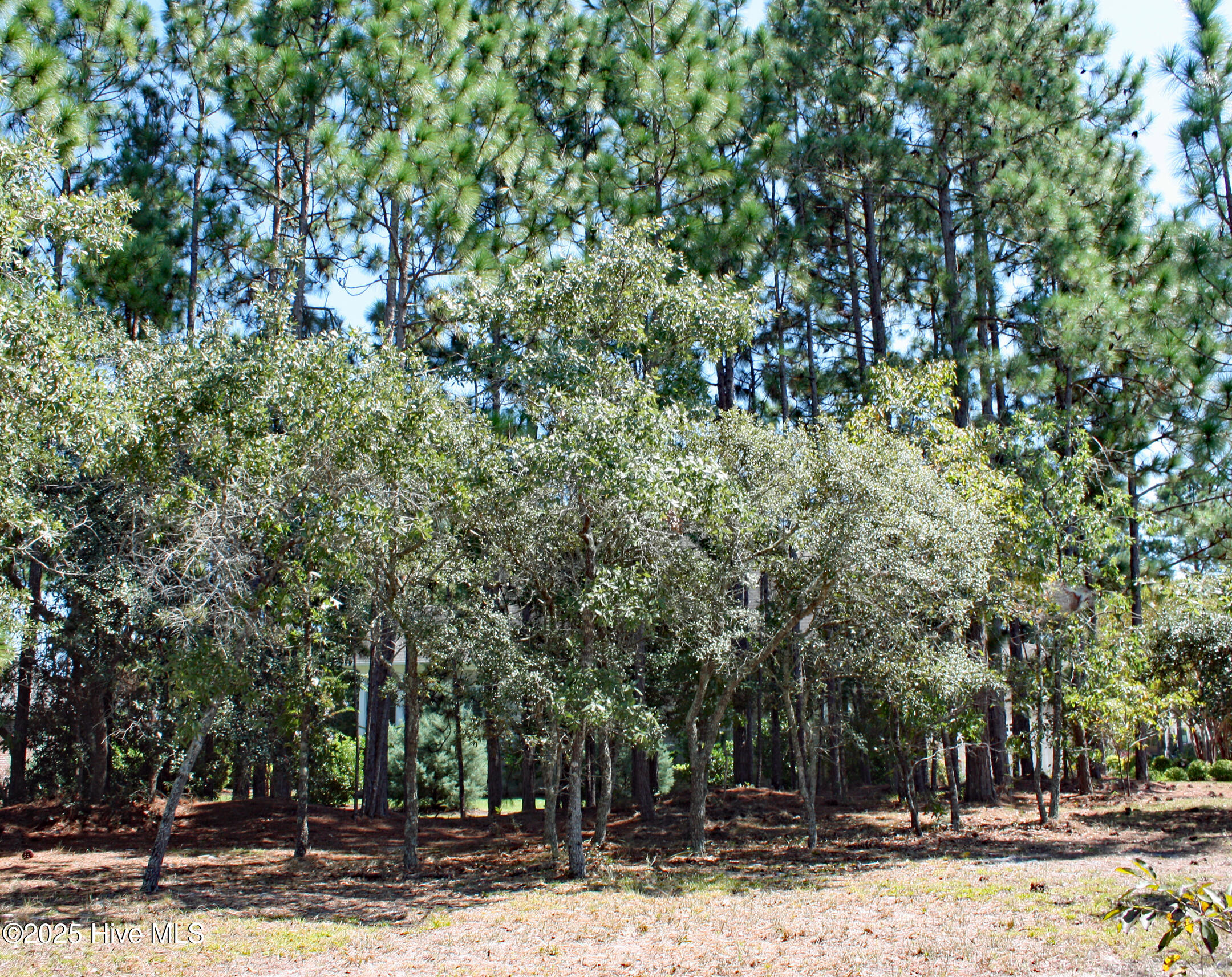 6452 Kirkwall Point Property Photo 5