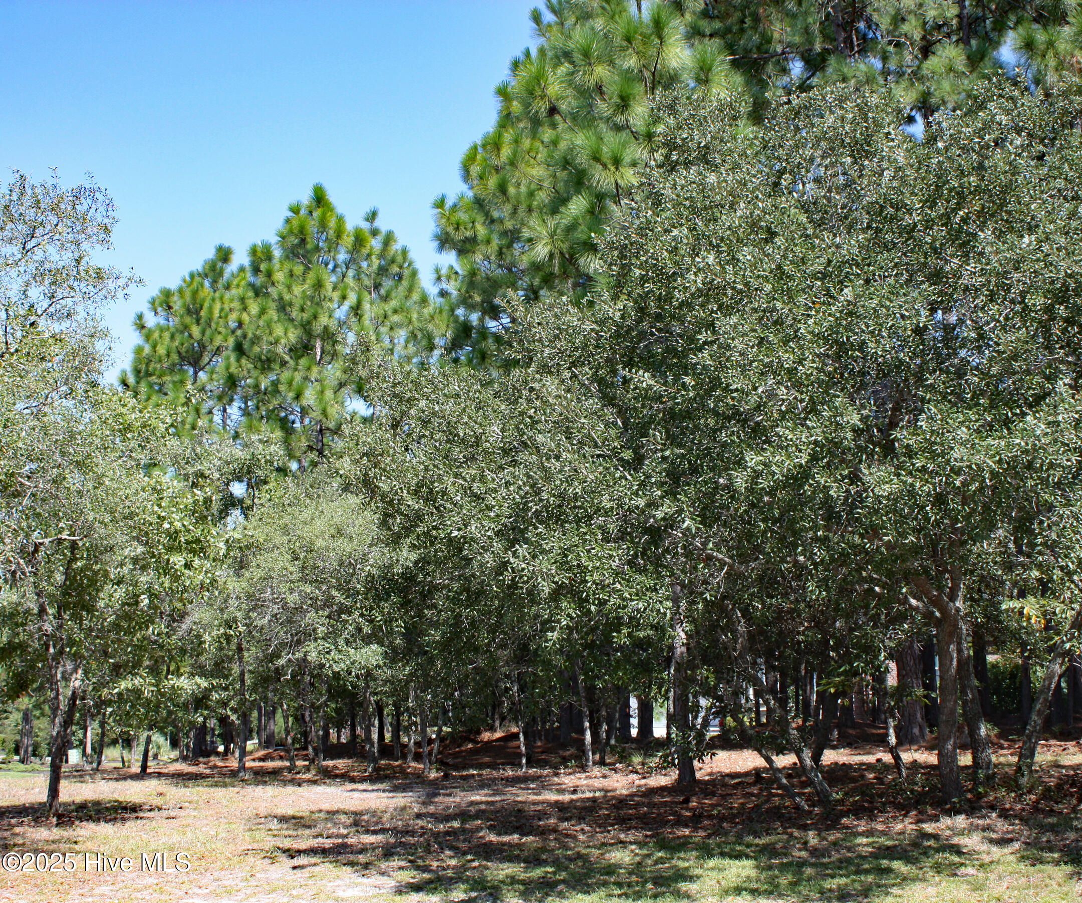 6452 Kirkwall Point Property Photo 6