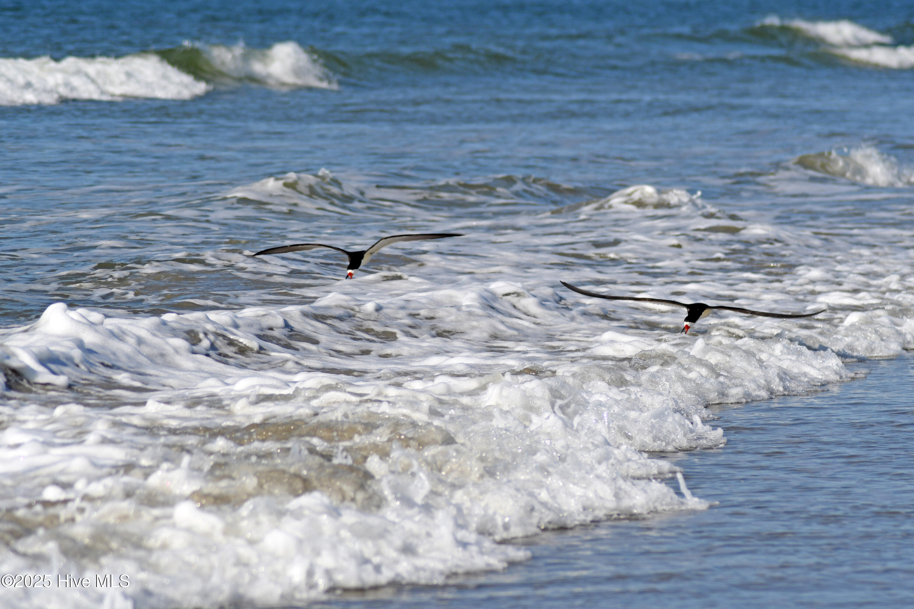 6452 Kirkwall Point Property Photo 9