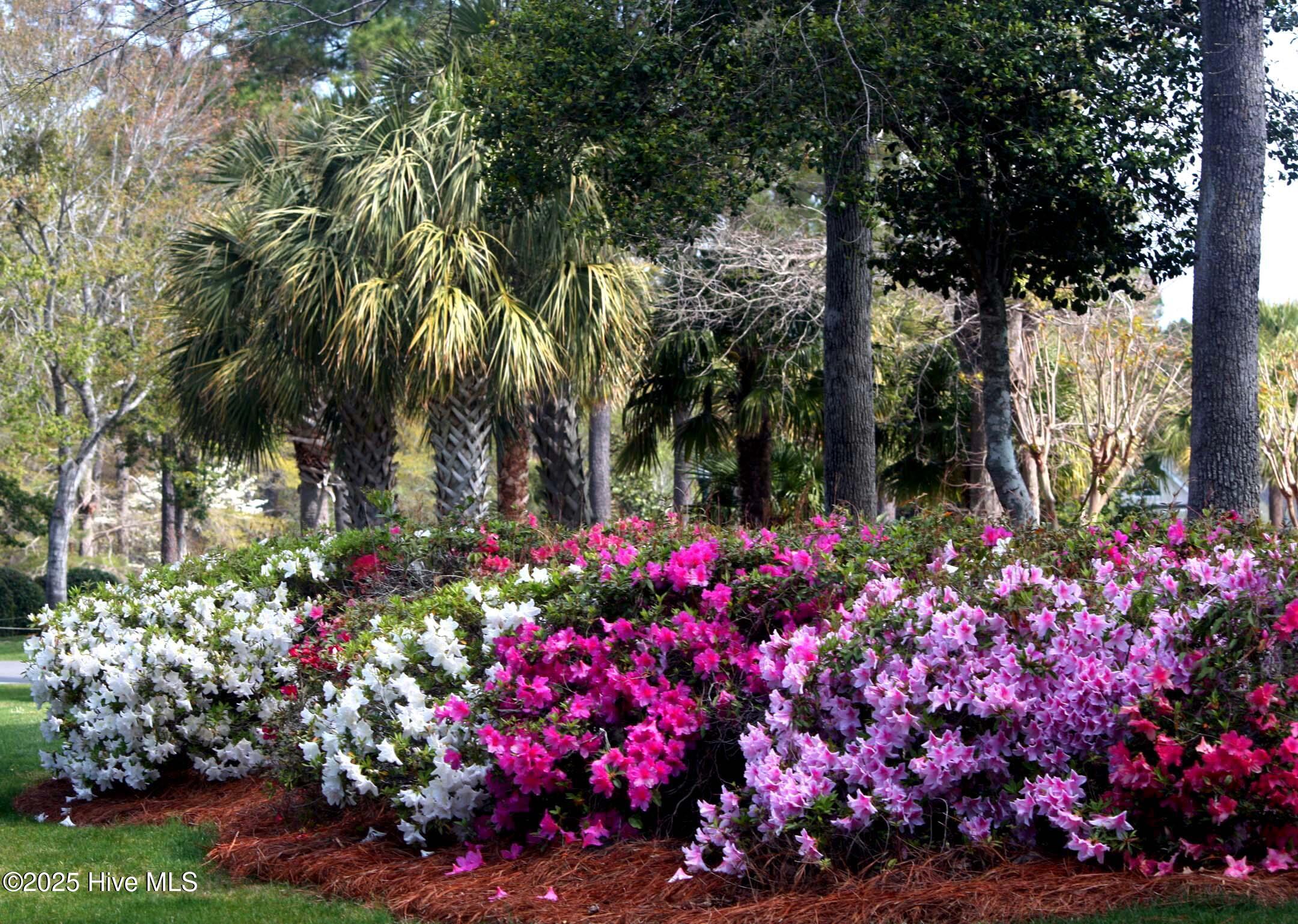 6452 Kirkwall Point Property Photo 17