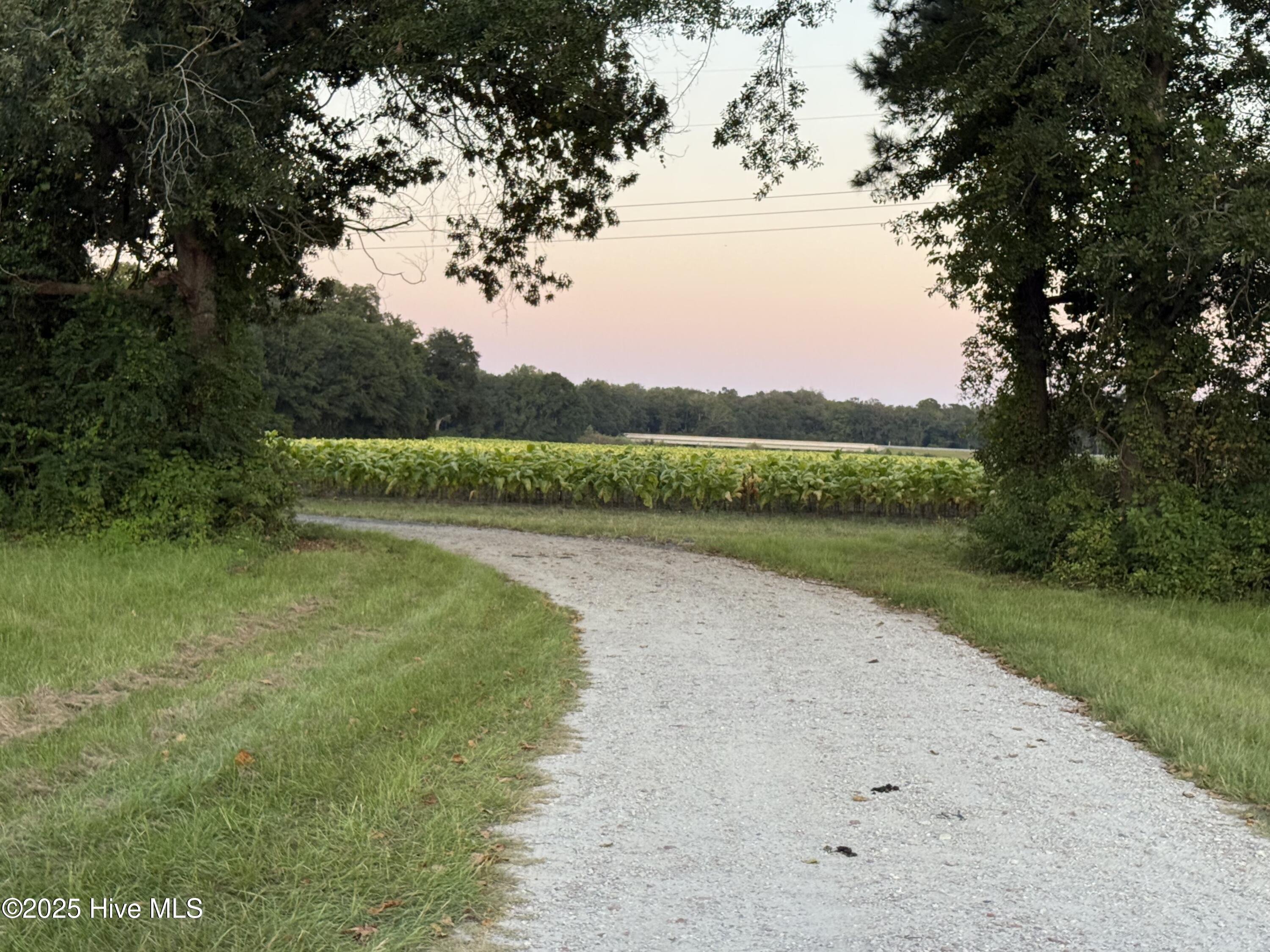 3591 Off Sr 1337 On River Property Photo 1