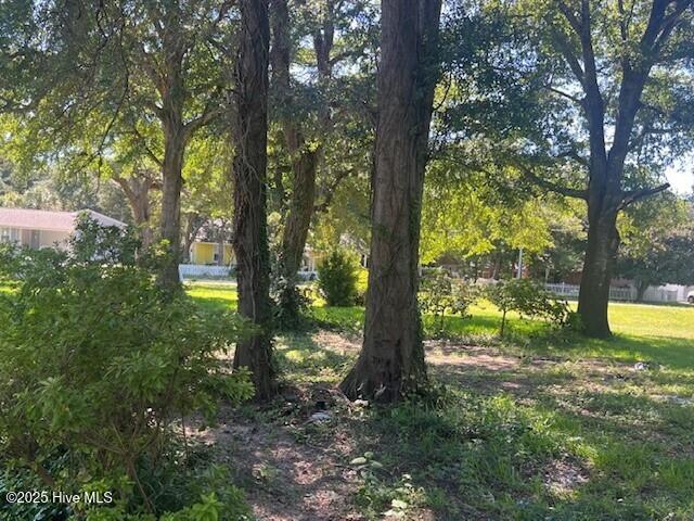 204 Savannah Avenue Property Photo 1