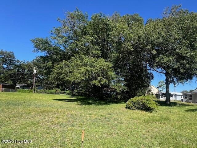 204 Savannah Avenue Property Photo 3