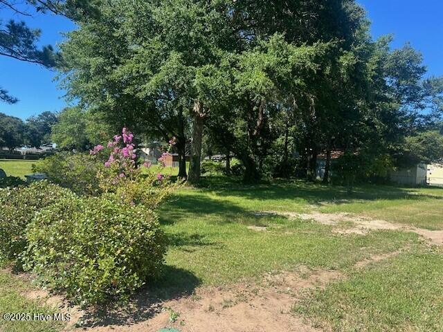 204 Savannah Avenue Property Photo 4