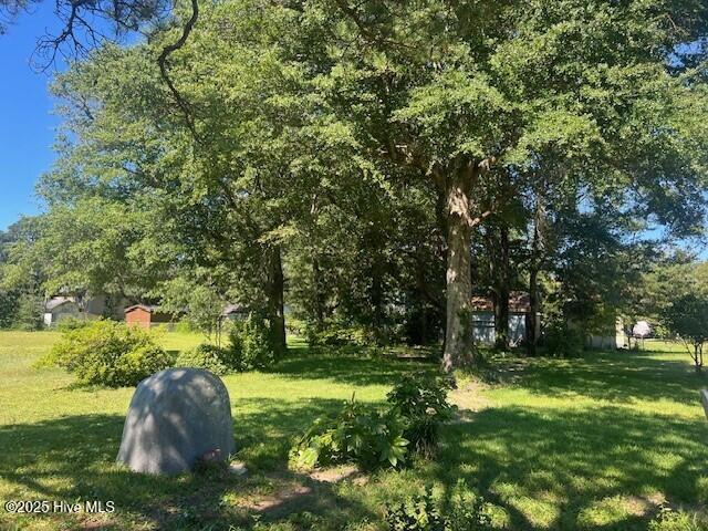 204 Savannah Avenue Property Photo 5