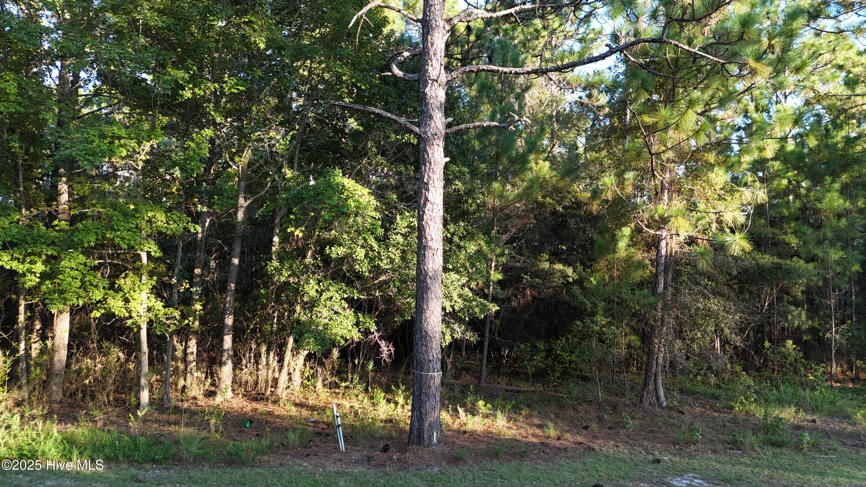 1496 Saint Lucia Drive Property Photo 3