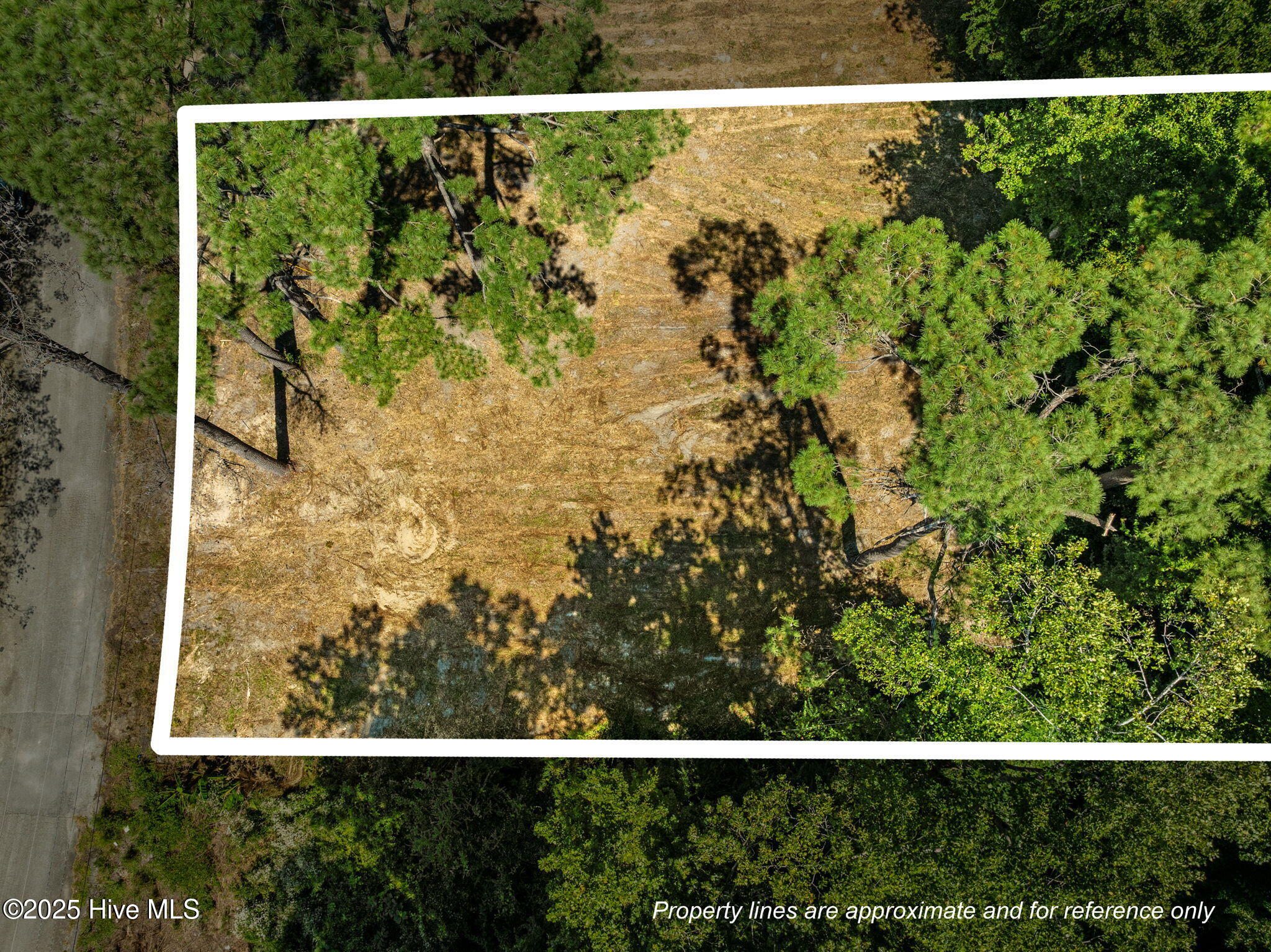 124 Jupiter Trail Property Photo 1