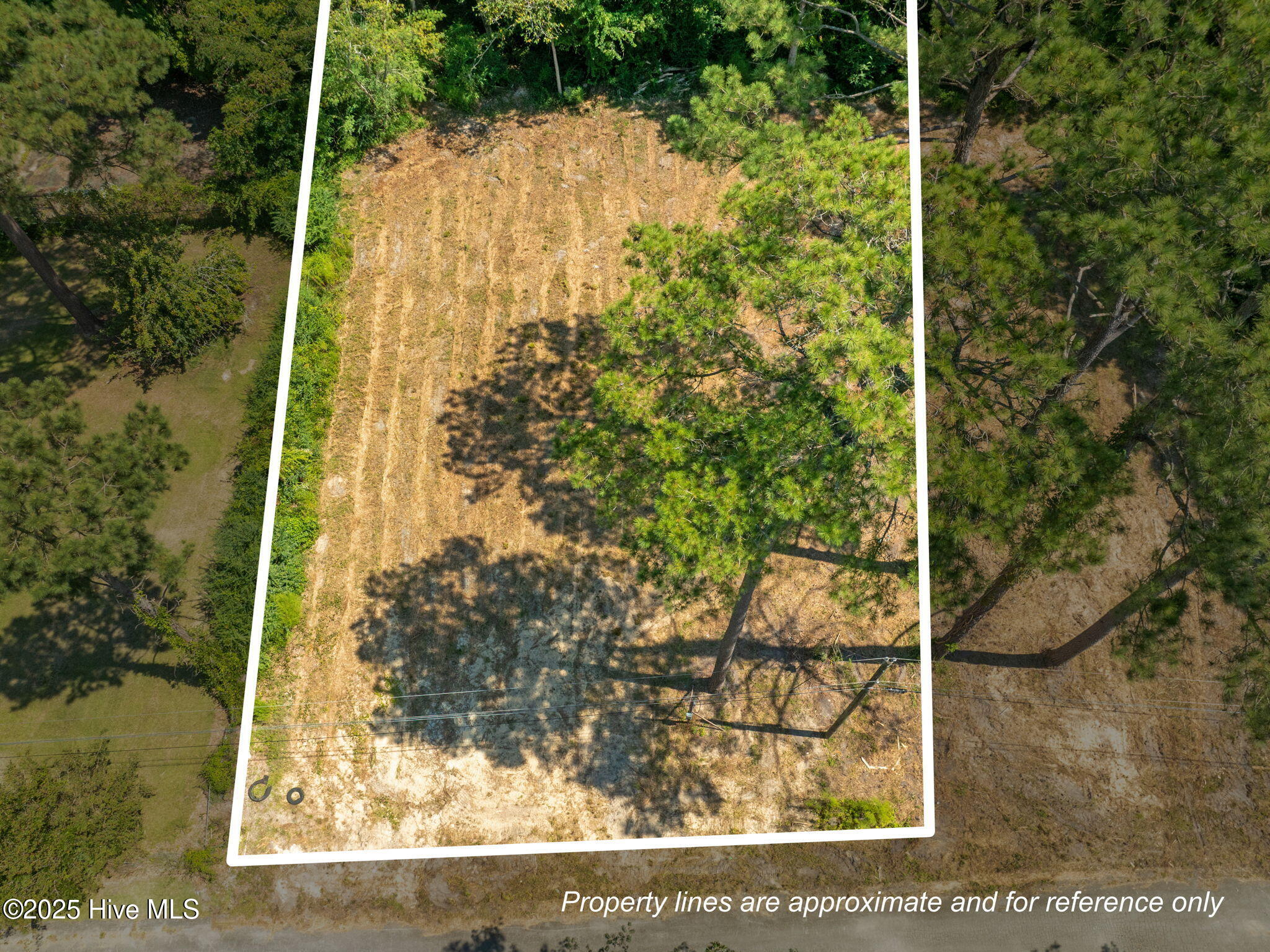 126 Jupiter Trail Property Photo 1