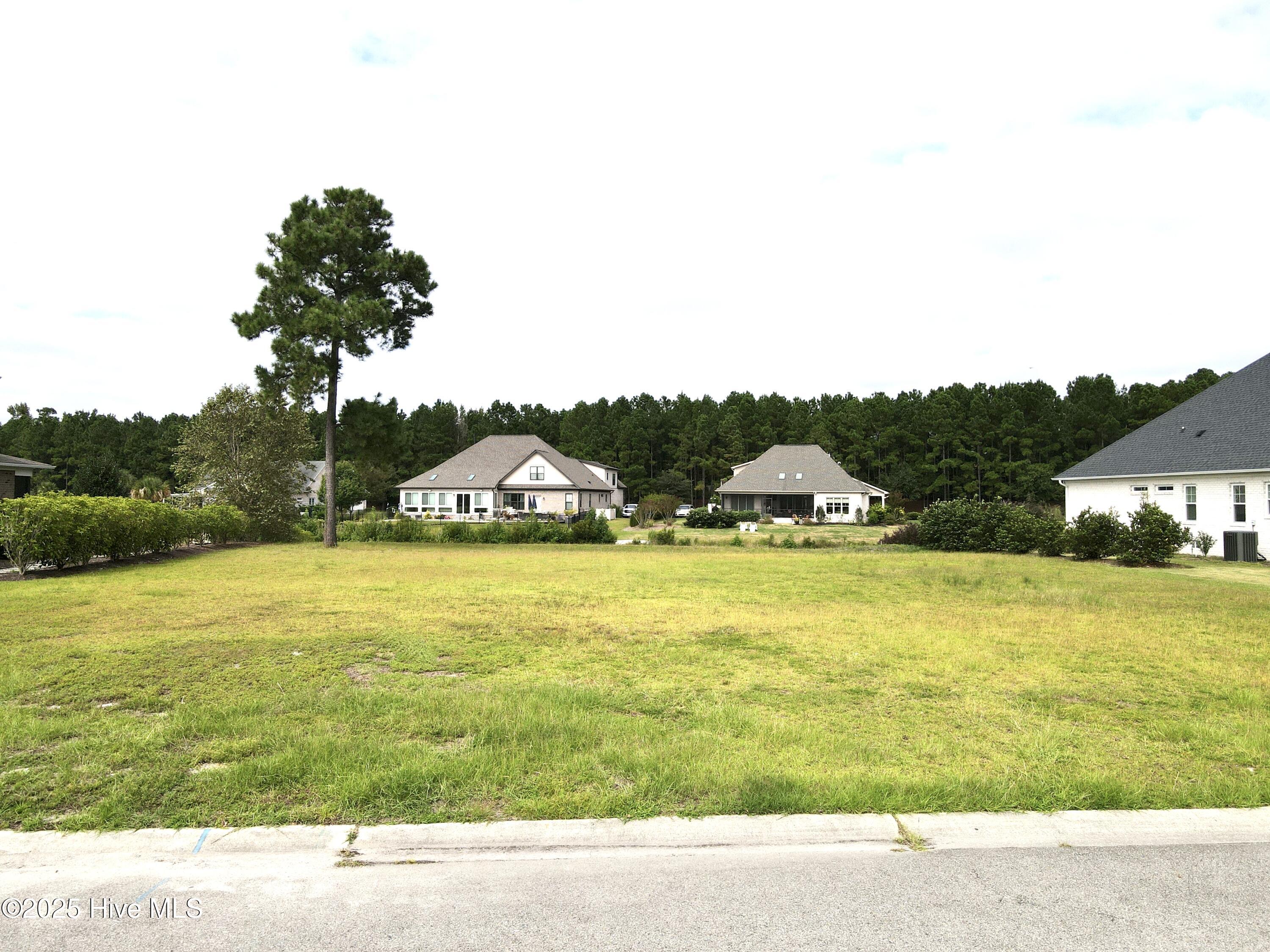 1010 Cloudbreak Court Property Photo 6
