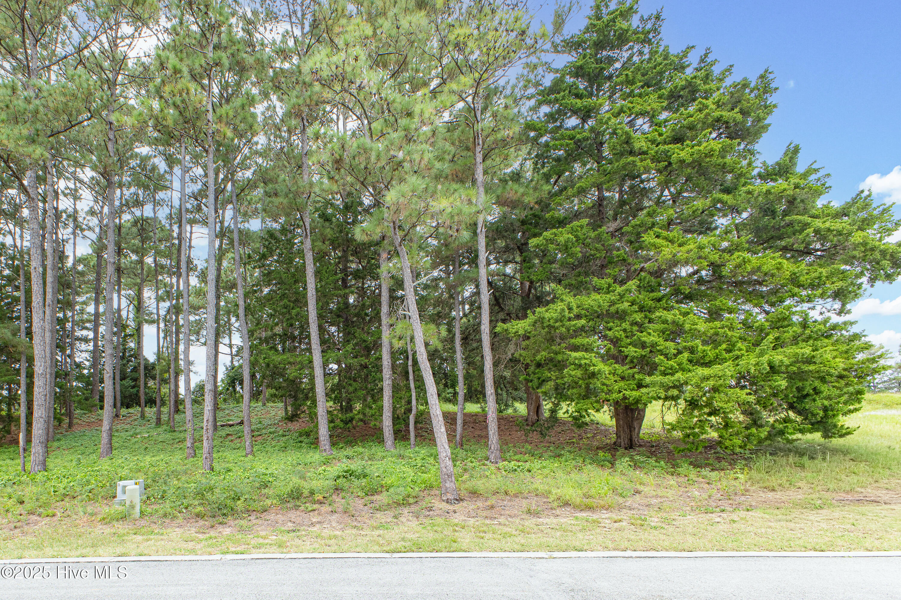 4042 Barnes Bluff Drive Se Property Photo 13