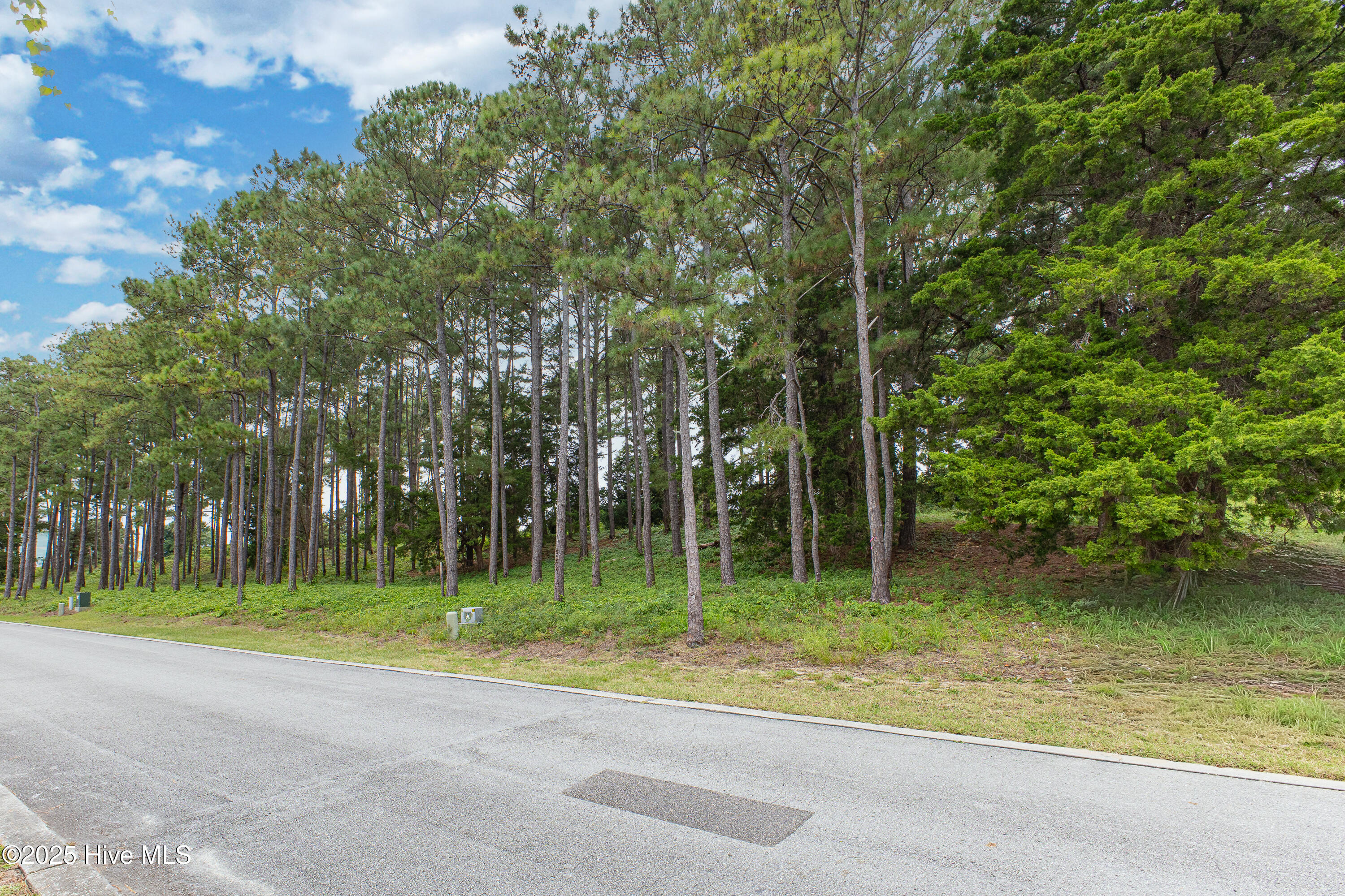 4042 Barnes Bluff Drive Se Property Photo 14