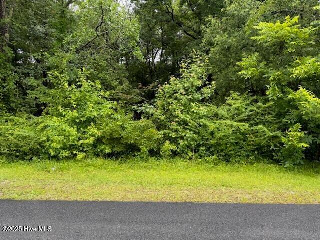 0 Tobes Road Property Photo 1