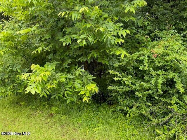 0 Tobes Road Property Photo 2