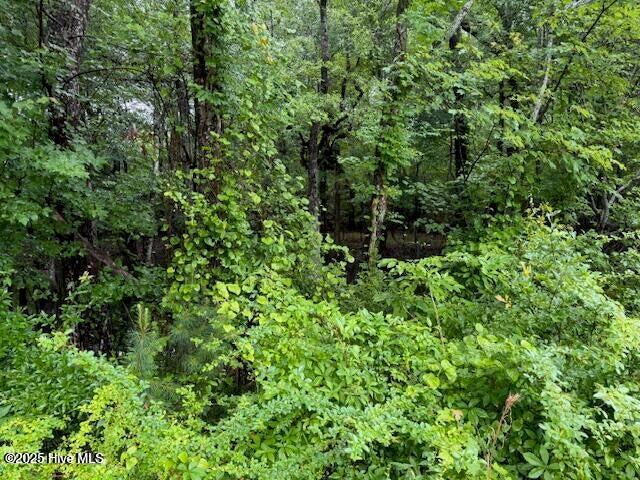 0 Tobes Road Property Photo 3