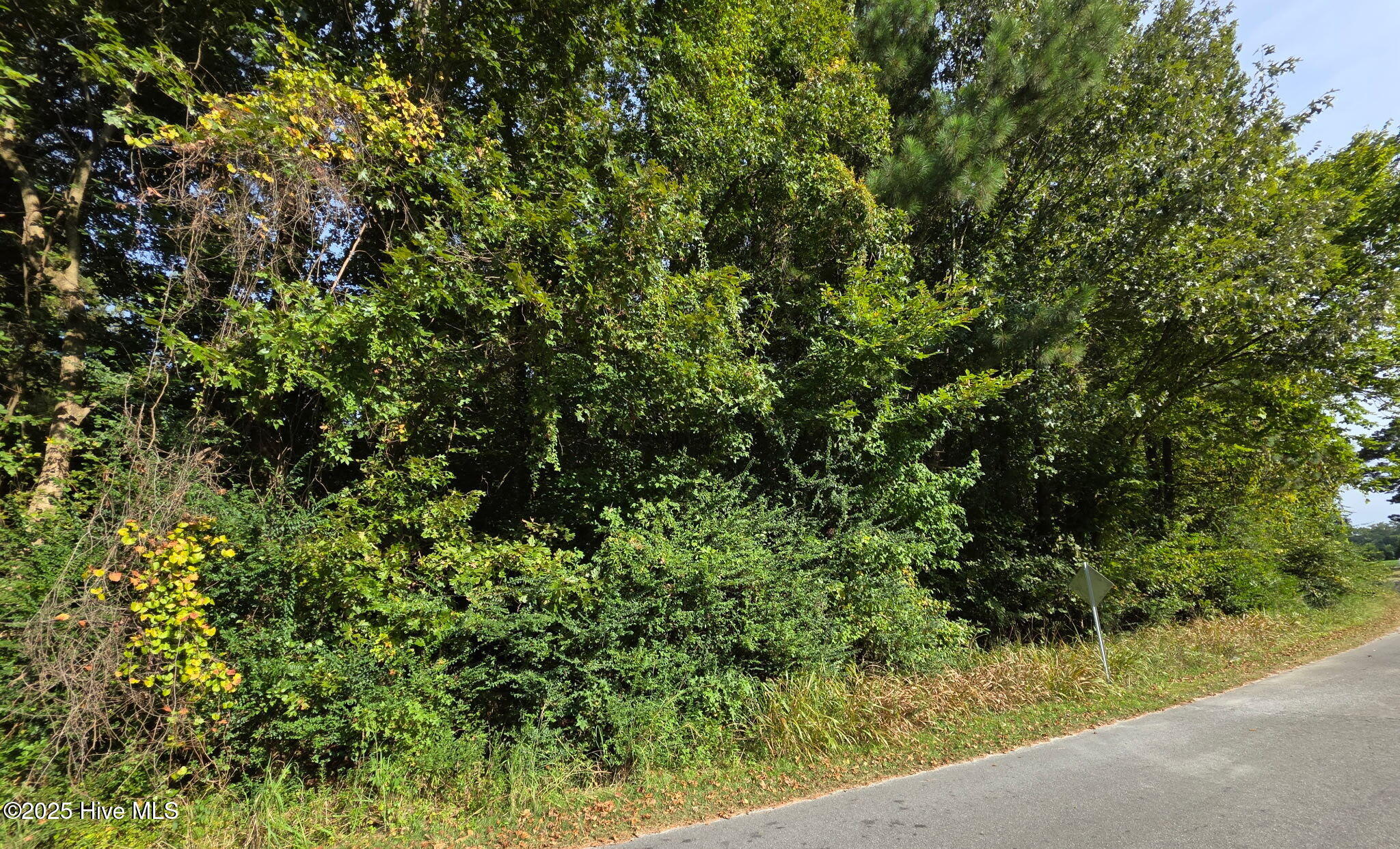 0 Brassie Drive Property Photo 1