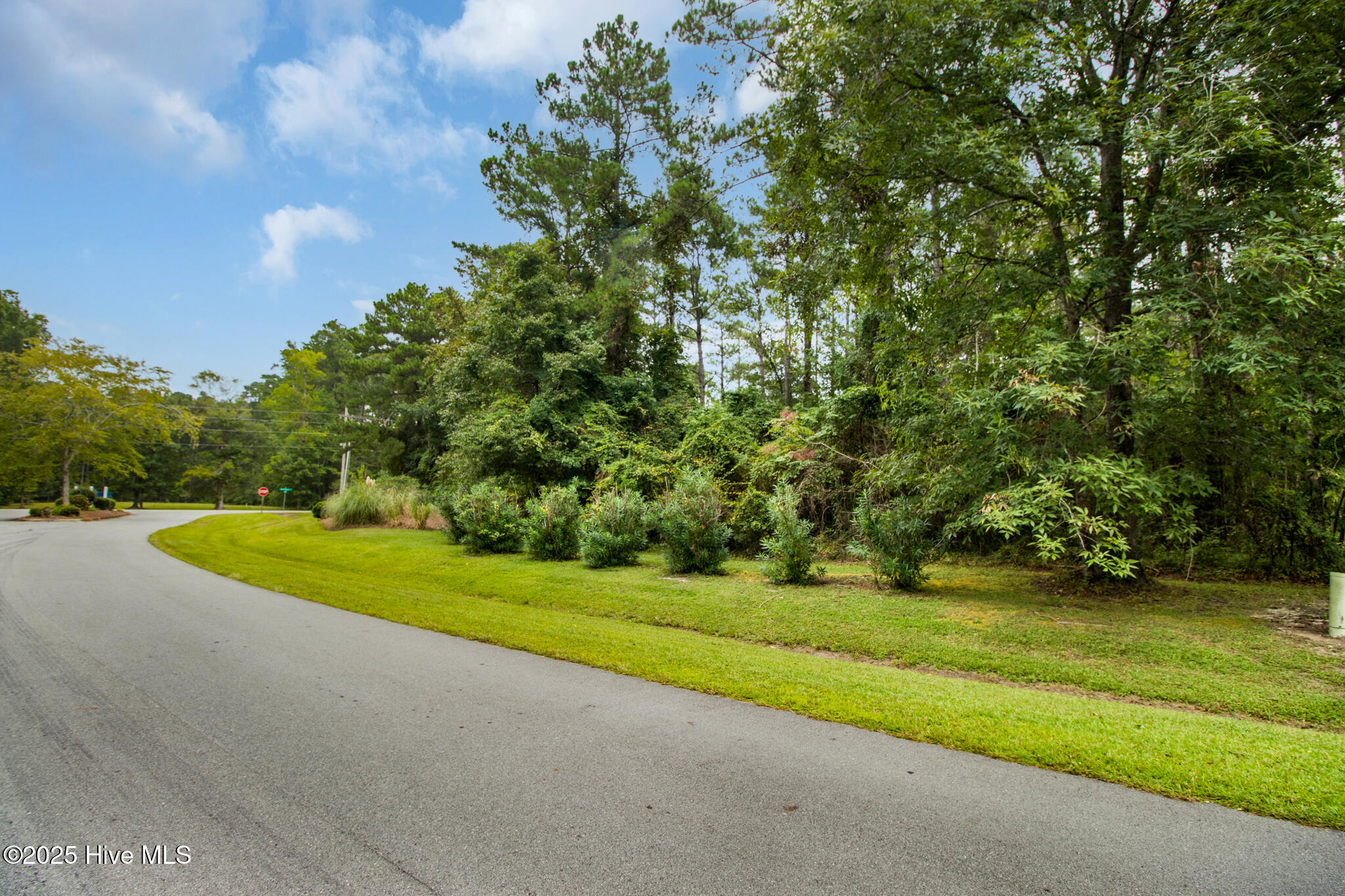 101 Cummins Creek Road Property Photo 6