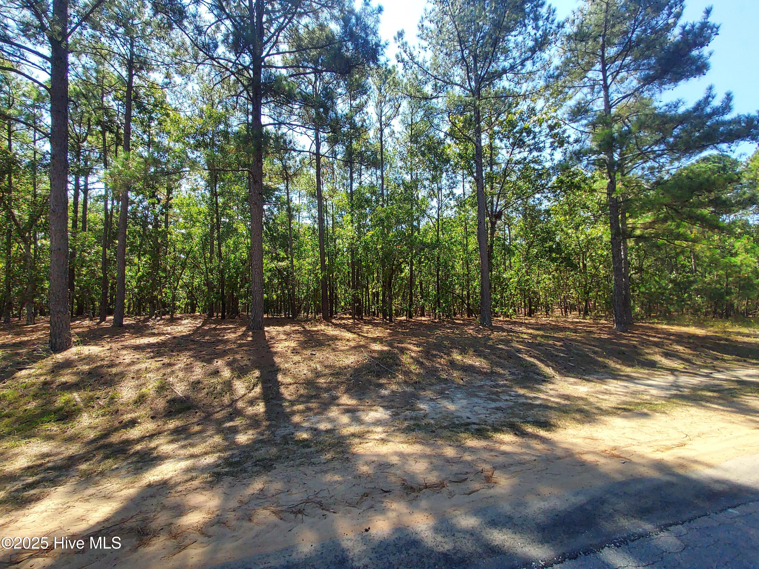 32 Peach Orchard Road Property Photo 1