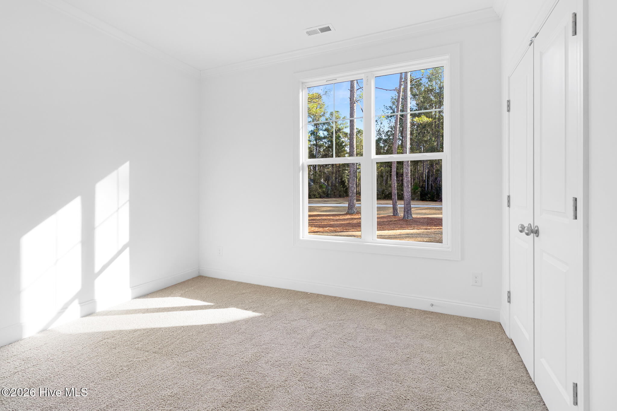 116 Antebellum Drive Property Photo 22