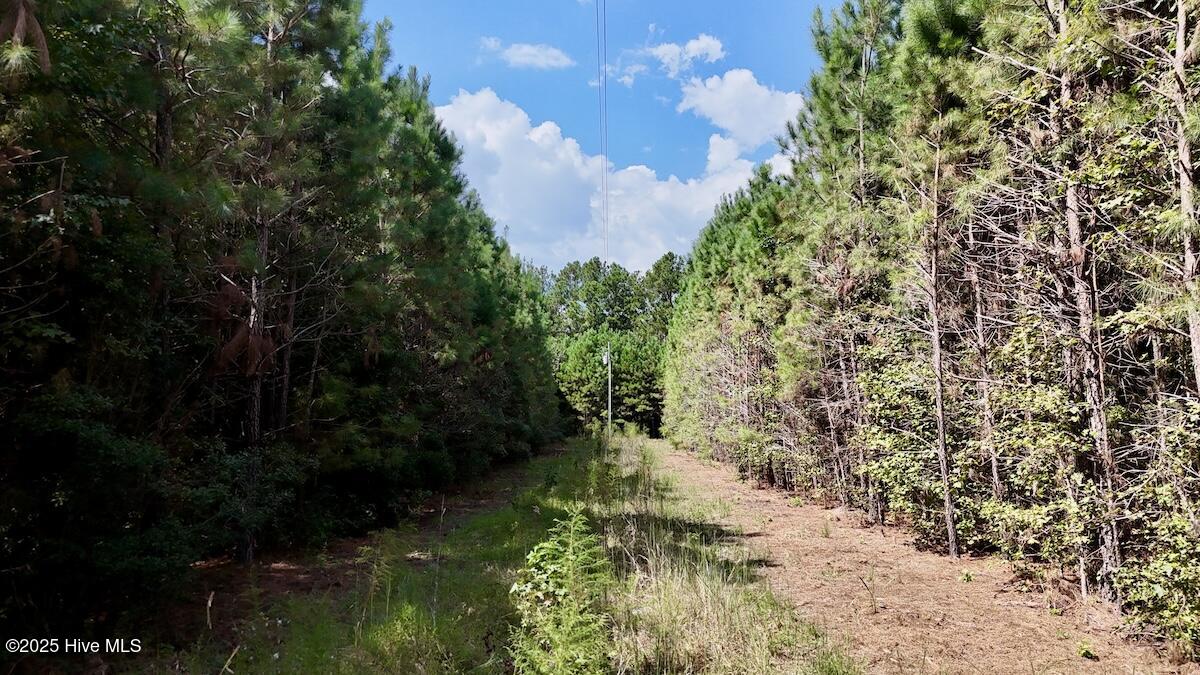 00 7th Street Property Photo 17